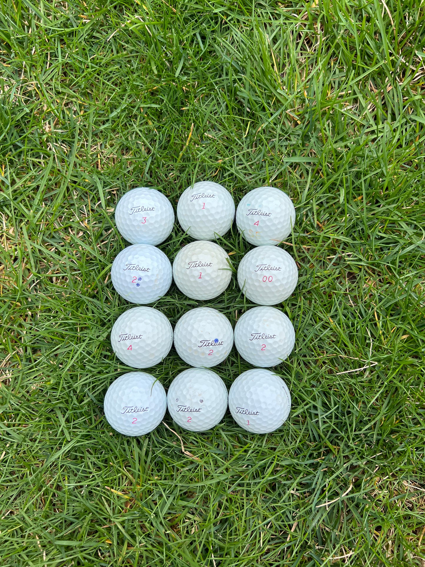 Dozen Titleist Pro V1x