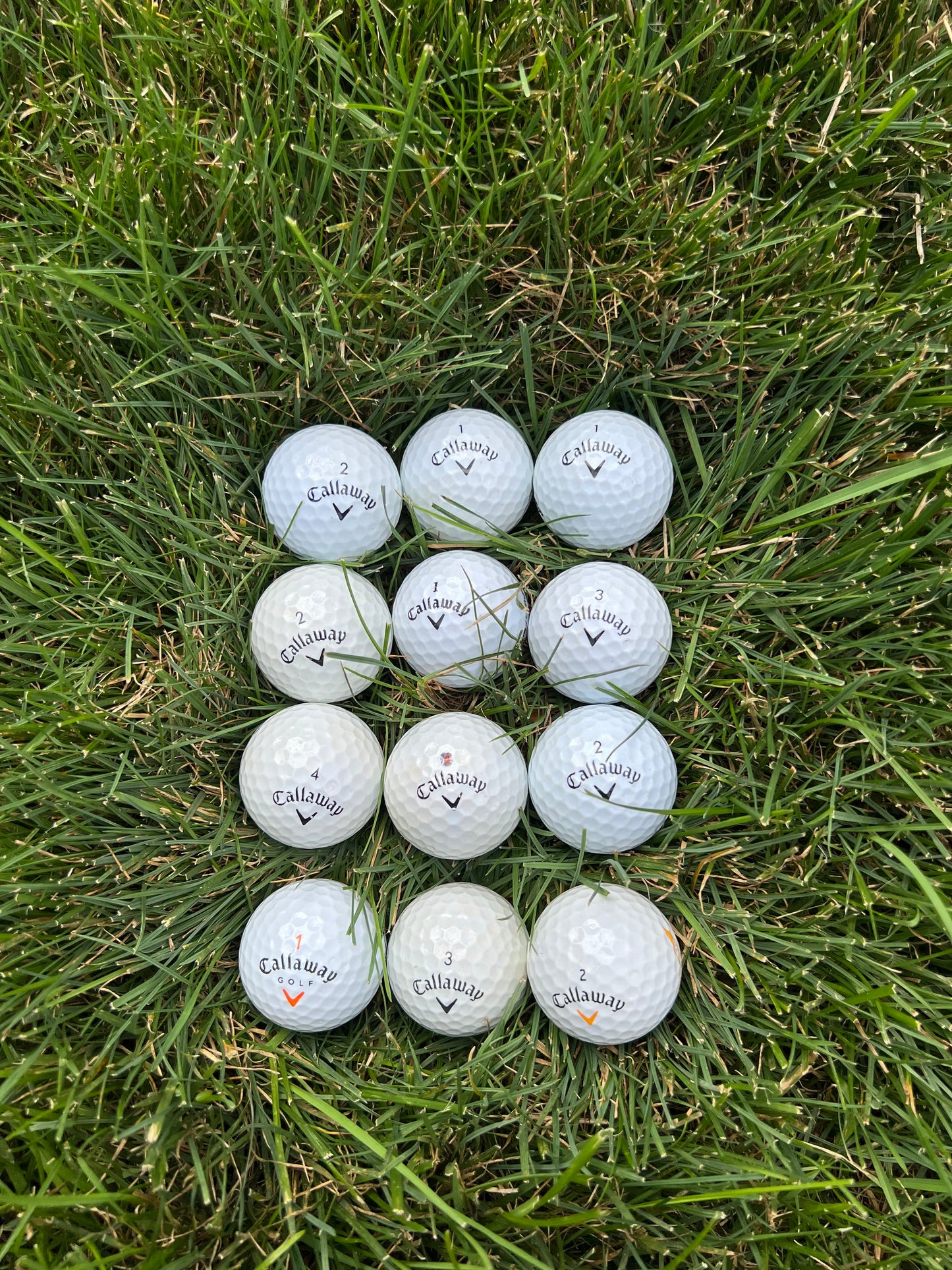 Dozen Callaway Mix